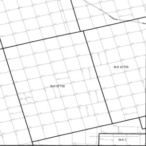 Permian Basin Survey Maps